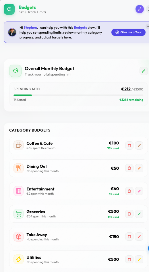 Category Budgets & Spending Limits